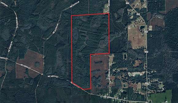 225 Acres of Recreational Land for Sale in Lake Butler, Florida