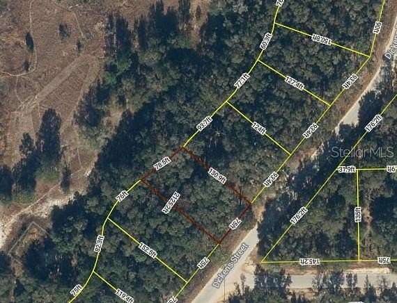 0.24 Acres of Residential Land for Sale in Interlachen, Florida