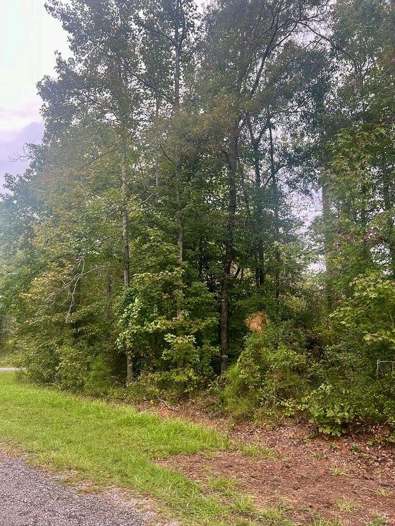 0.74 Acres of Residential Land for Sale in Abbeville, Alabama