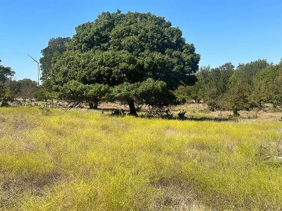 10.5 Acres of Recreational Land & Farm for Sale in Goldthwaite, Texas