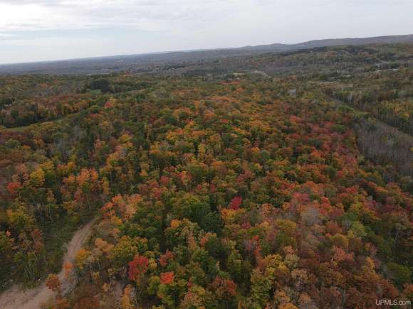 40 Acres of Land for Sale in Bessemer, Michigan