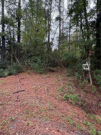 26 Acres of Recreational Land for Sale in Ariton, Alabama