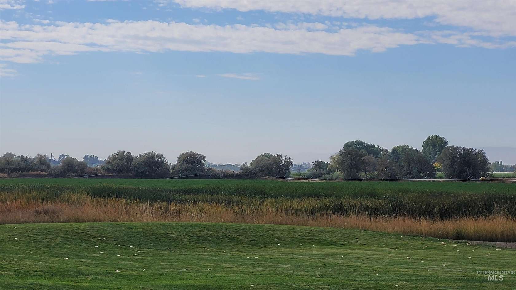 39.66 Acres of Agricultural Land for Sale in Heyburn, Idaho