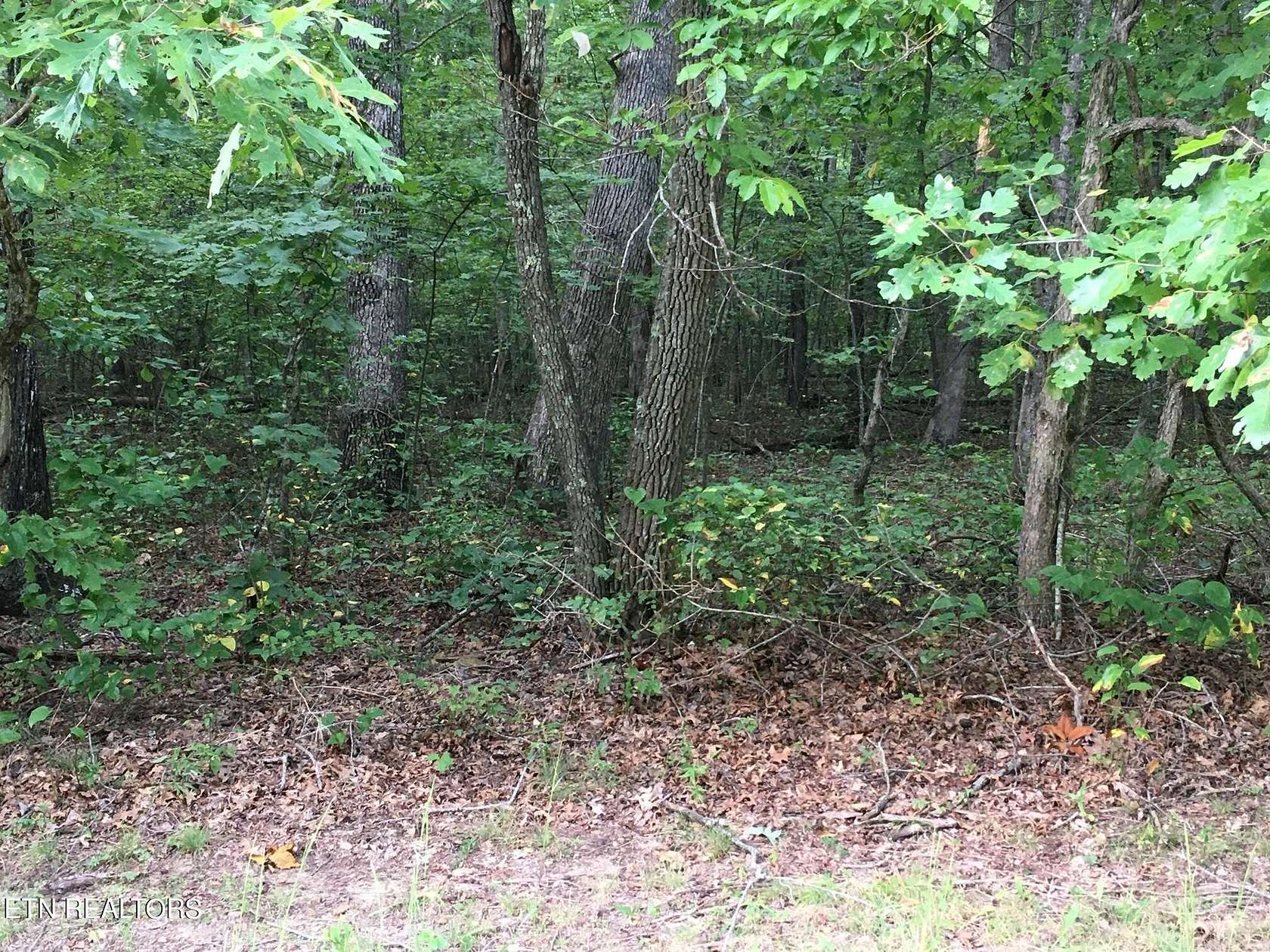 4 Acres of Residential Land for Sale in Monterey, Tennessee