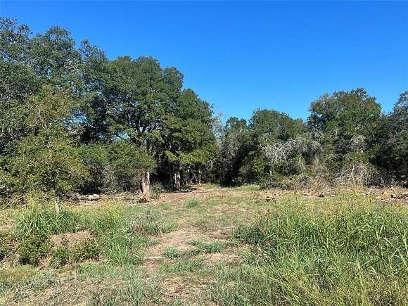 23.19 Acres of Agricultural Land for Sale in Blanco, Texas