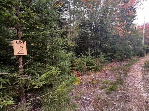 2.75 Acres of Residential Land for Sale in Stonington, Maine