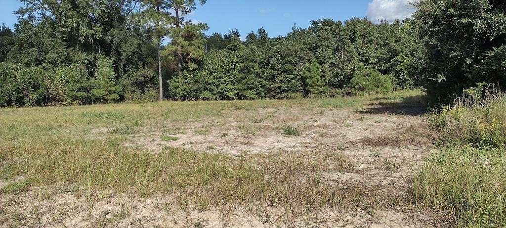 2.35 Acres of Residential Land for Sale in Manning, South Carolina