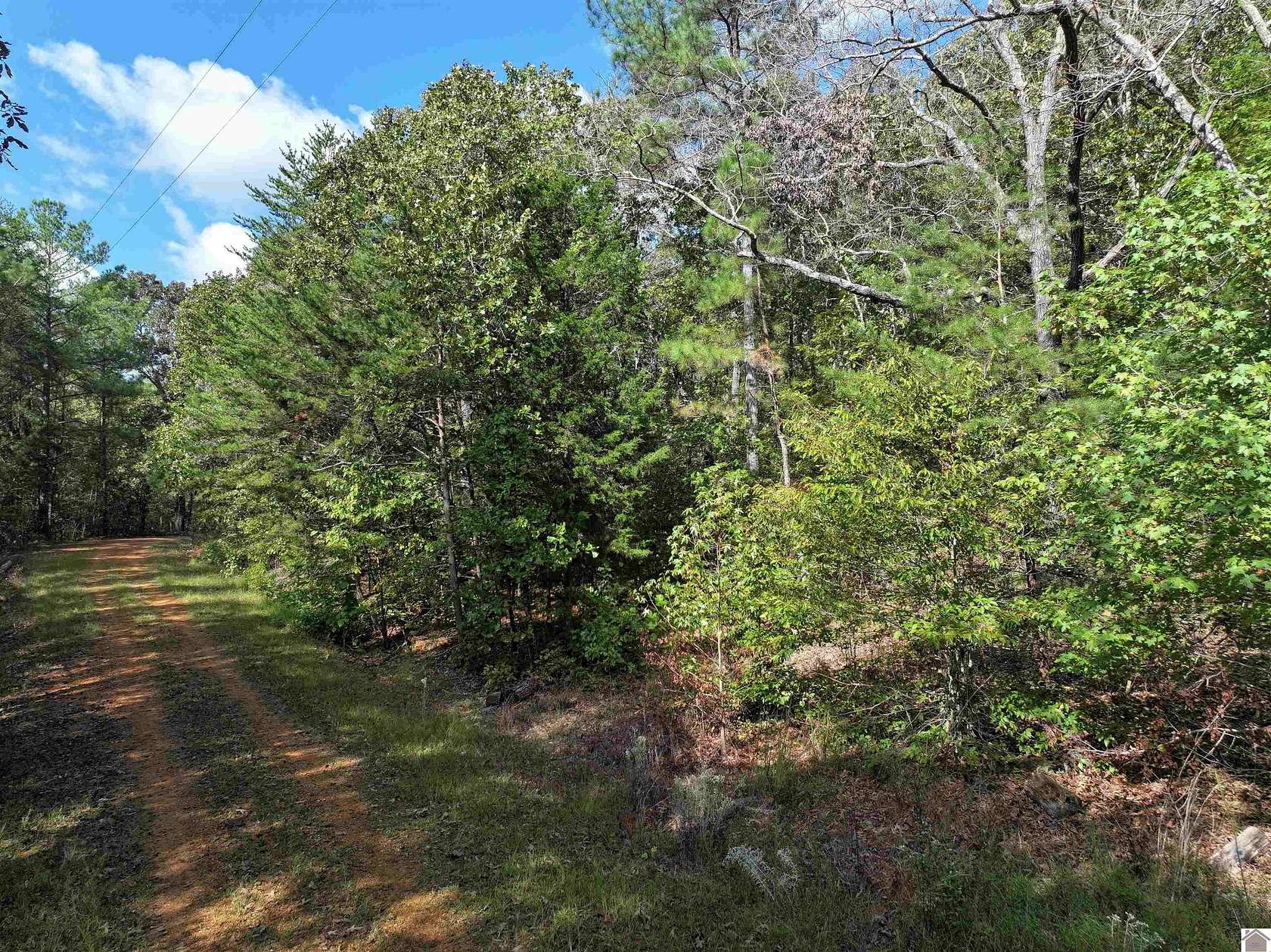 1 Acre of Residential Land for Sale in Murray, Kentucky