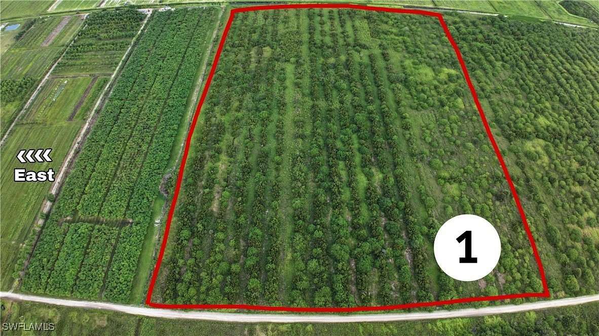 39.16 Acres of Land for Sale in LaBelle, Florida