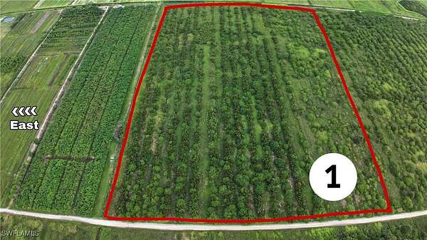 40 Acres of Land for Sale in LaBelle, Florida