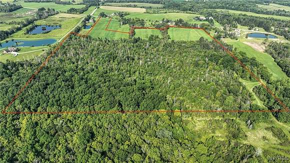 67.9 Acres of Land for Sale in Marilla, New York