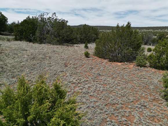 10 Acres of Land for Sale in Edgewood, New Mexico