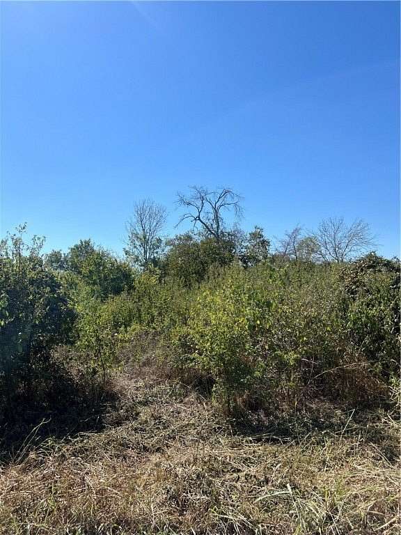 0.47 Acres of Land for Sale in Mount Calm, Texas