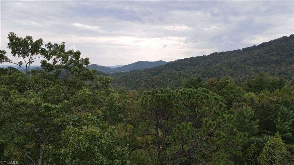 10.01 Acres of Recreational Land for Sale in Purlear, North Carolina