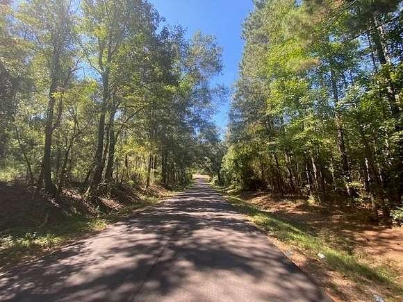 6 Acres of Residential Land for Sale in Tylertown, Mississippi