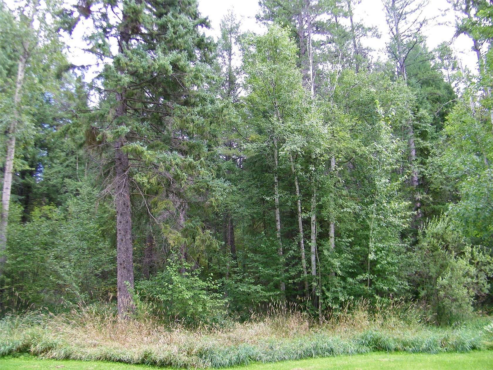 1 Acre of Land for Sale in Coram, Montana