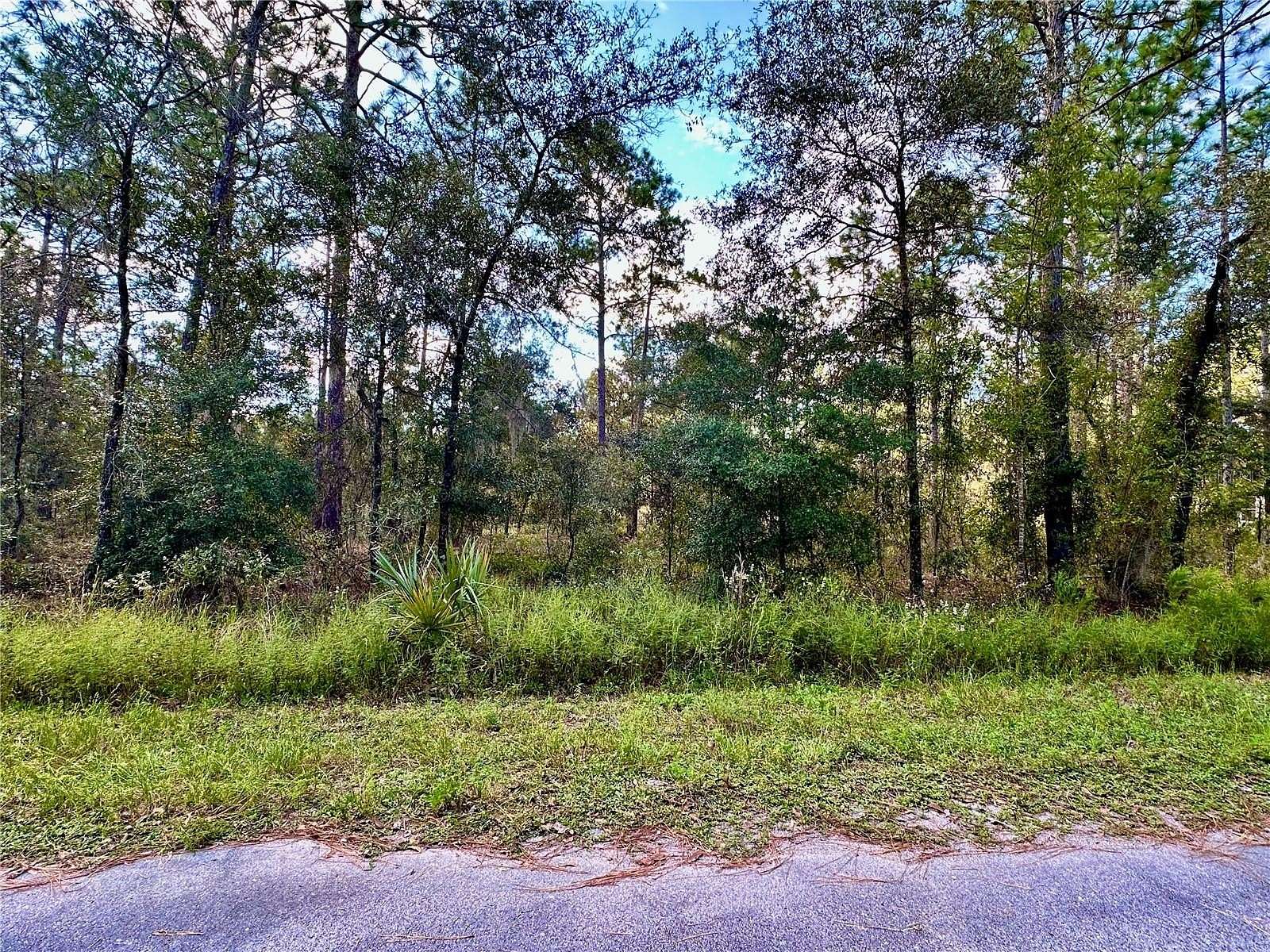 0.25 Acres of Residential Land for Sale in Dunnellon, Florida