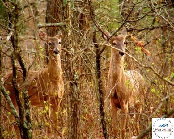 2.78 Acres of Residential Land for Sale in Edwards, Missouri