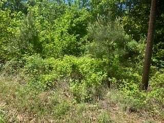 24.5 Acres of Land for Sale in Marshall, Texas