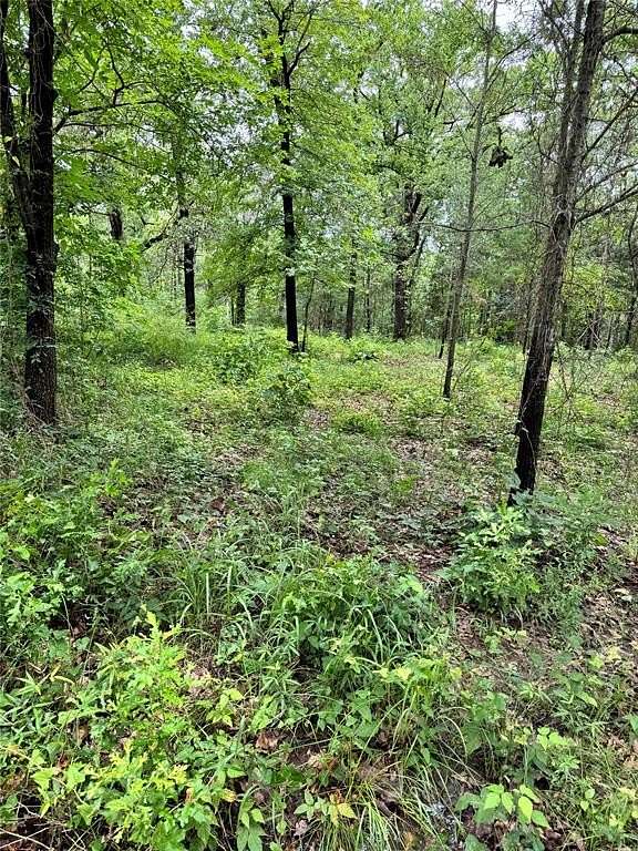 0.228 Acres of Residential Land for Sale in Payne Springs, Texas