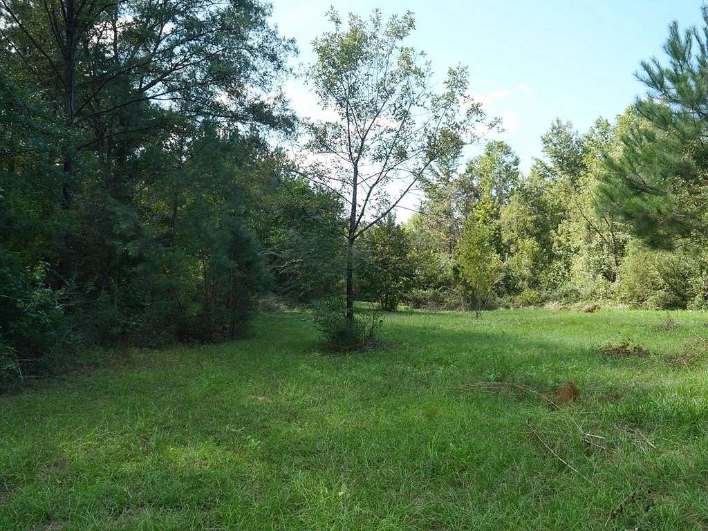 30 Acres of Land for Sale in Shubuta, Mississippi