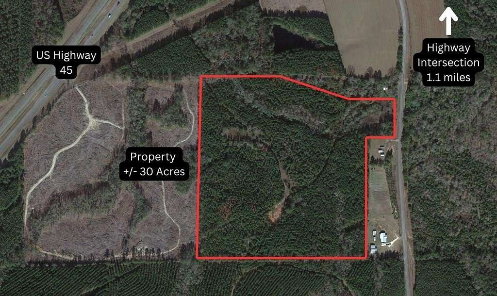 30 Acres of Land for Sale in Shubuta, Mississippi