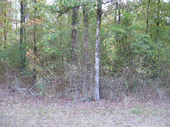 0.96 Acres of Residential Land for Sale in Hot Springs Village, Arkansas