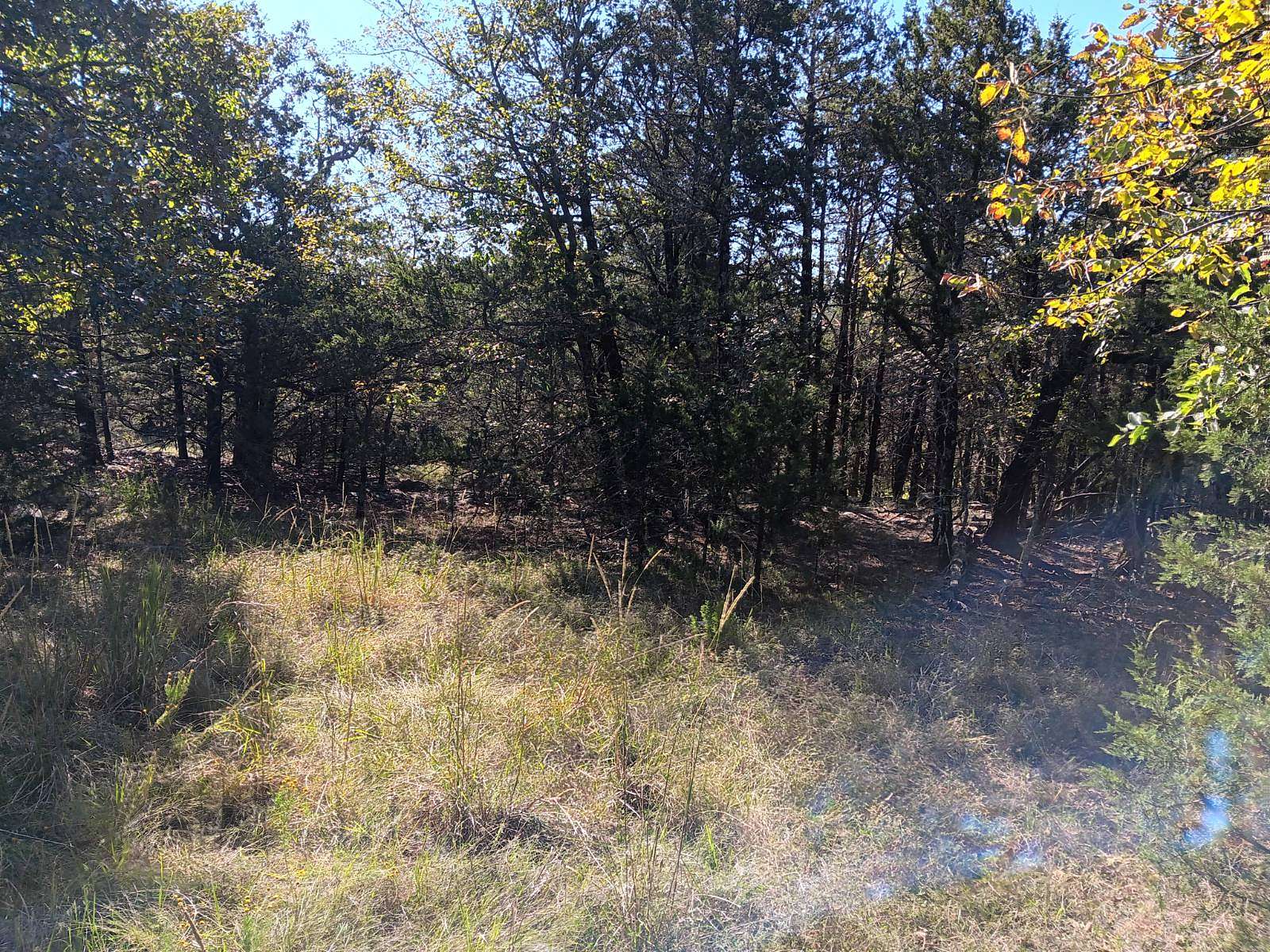 10 Acres of Recreational Land for Sale in Yanush, Oklahoma