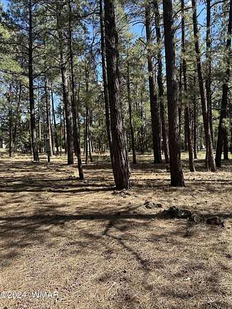 0.91 Acres of Residential Land for Sale in Pinetop, Arizona