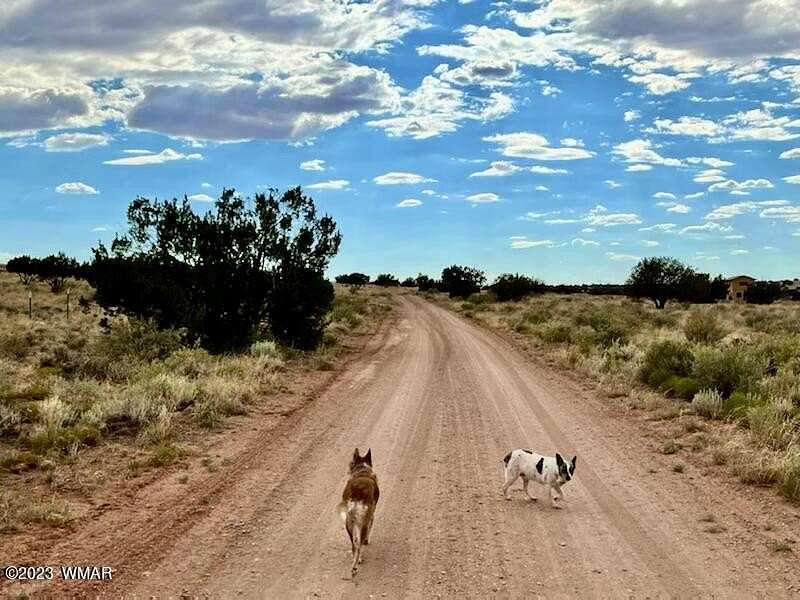 6.7 Acres of Land for Sale in Snowflake, Arizona