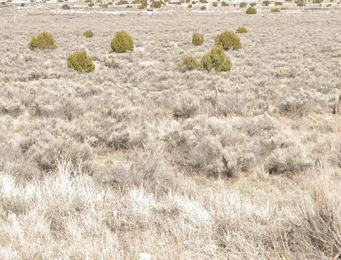 1.08 Acres of Residential Land for Sale in Sanders, Arizona