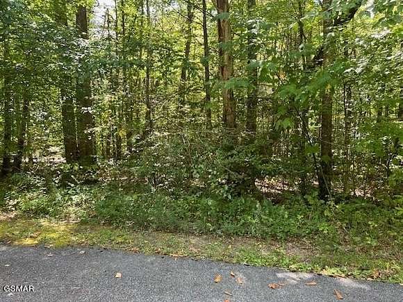 1.58 Acres of Residential Land for Sale in Cosby, Tennessee