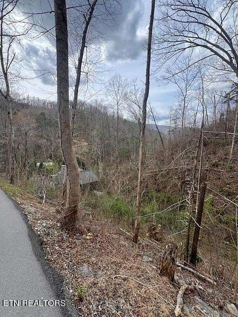 0.13 Acres of Residential Land for Sale in Gatlinburg, Tennessee