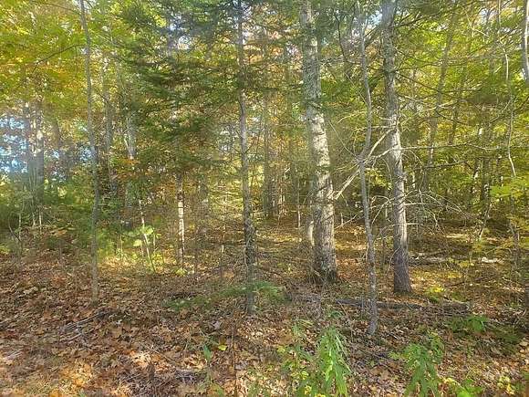 2.35 Acres of Residential Land for Sale in Dixmont, Maine