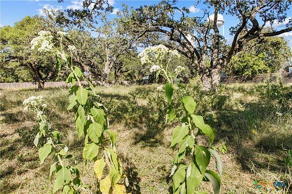 0.269 Acres of Residential Land for Sale in Blanco, Texas