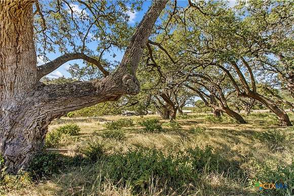 0.273 Acres of Residential Land for Sale in Blanco, Texas