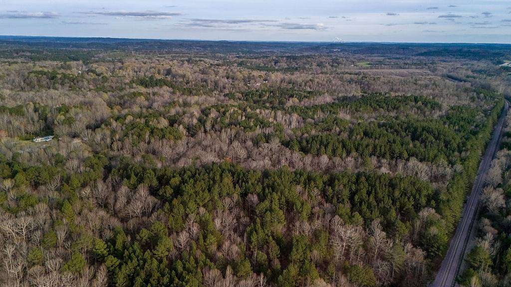 41 Acres of Land for Sale in Jasper, Alabama