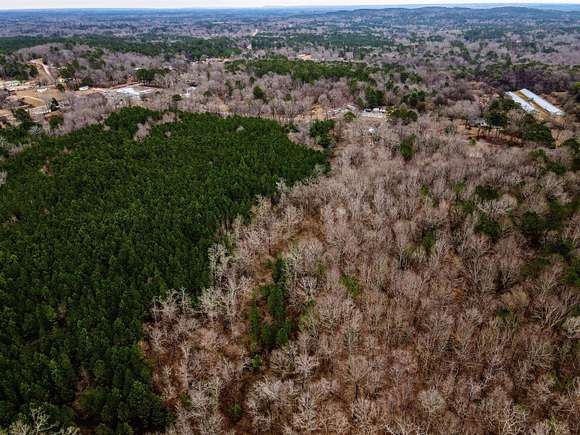 41 Acres of Recreational Land for Sale in Jasper, Alabama