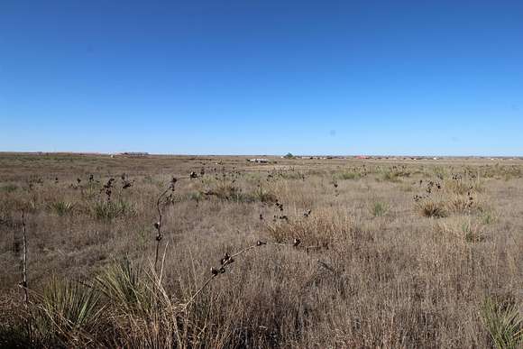 10 Acres of Agricultural Land for Sale in Canyon, Texas