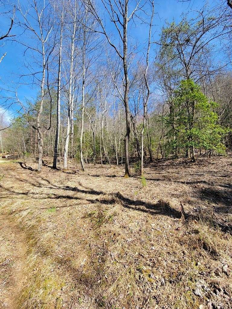 19 Acres of Recreational Land for Sale in Burningtown Township, North Carolina