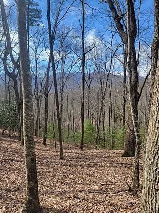 19 Acres of Recreational Land for Sale in Burningtown Township, North Carolina