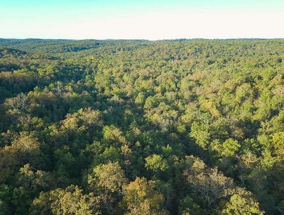 80 Acres of Recreational Land for Sale in Clarkridge, Arkansas