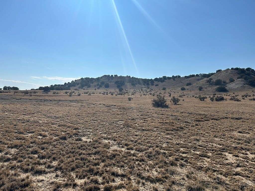 40 Acres of Agricultural Land for Sale in Delhi, Colorado