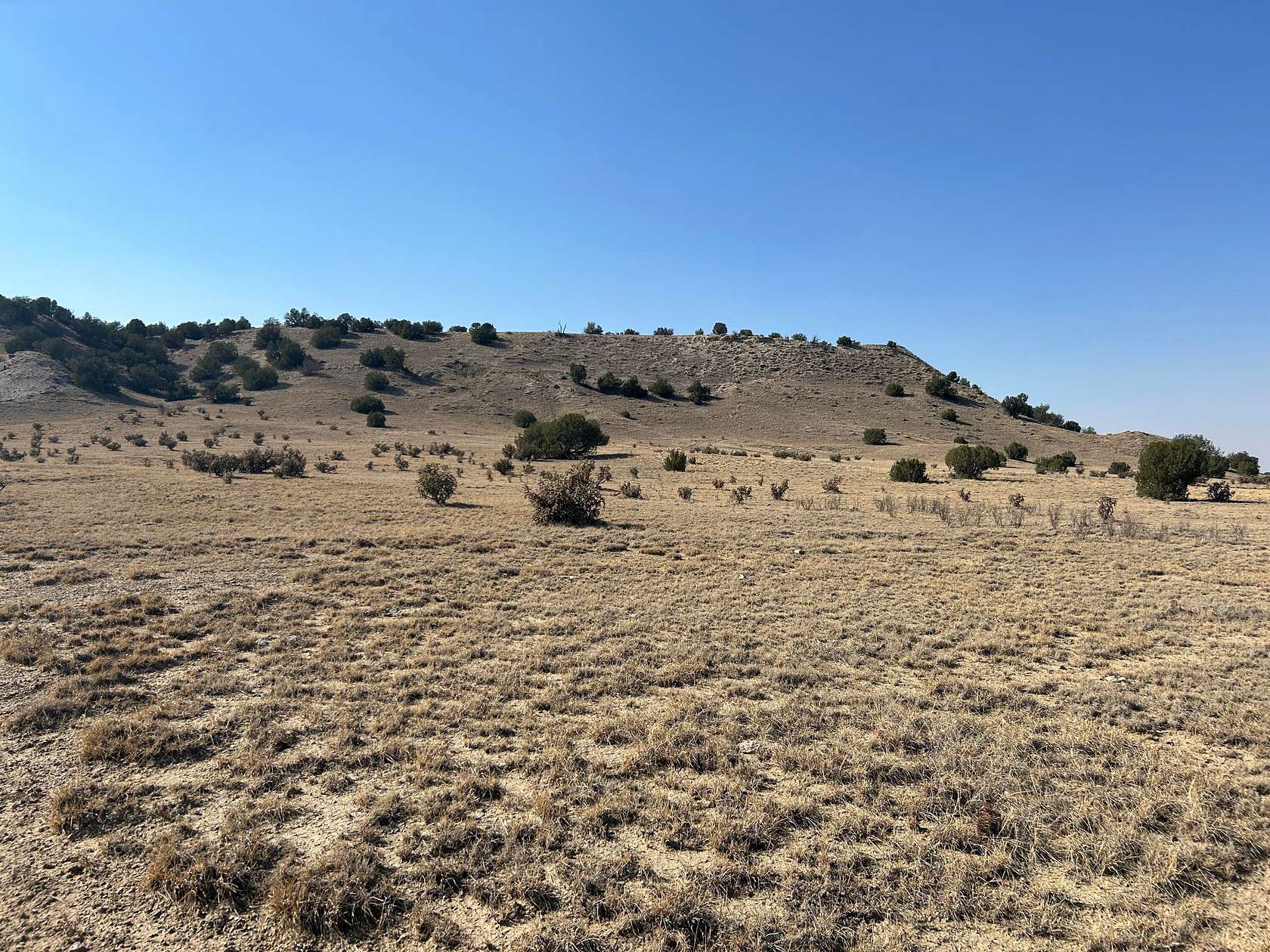 40 Acres of Land for Sale in Delhi, Colorado