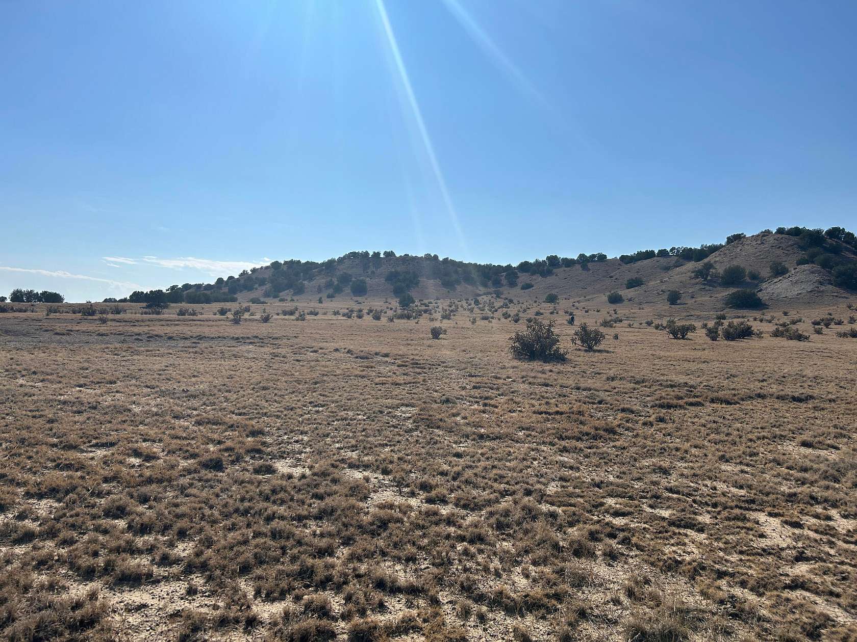 40 Acres of Land for Sale in Delhi, Colorado