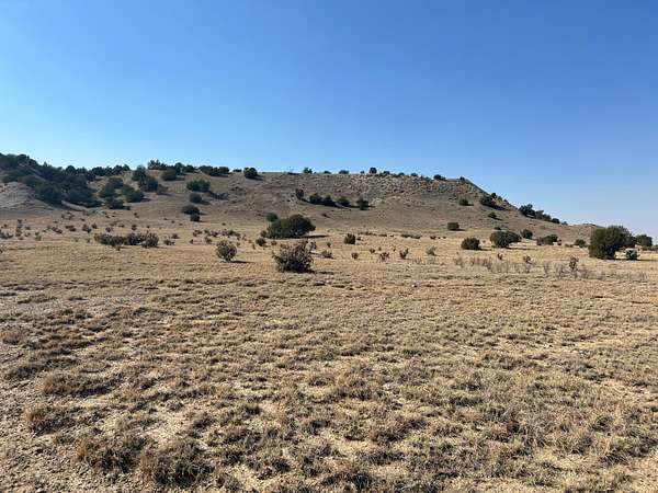 40 Acres of Land for Sale in Delhi, Colorado
