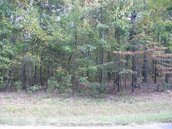 0.34 Acres of Residential Land for Sale in Hot Springs Village, Arkansas