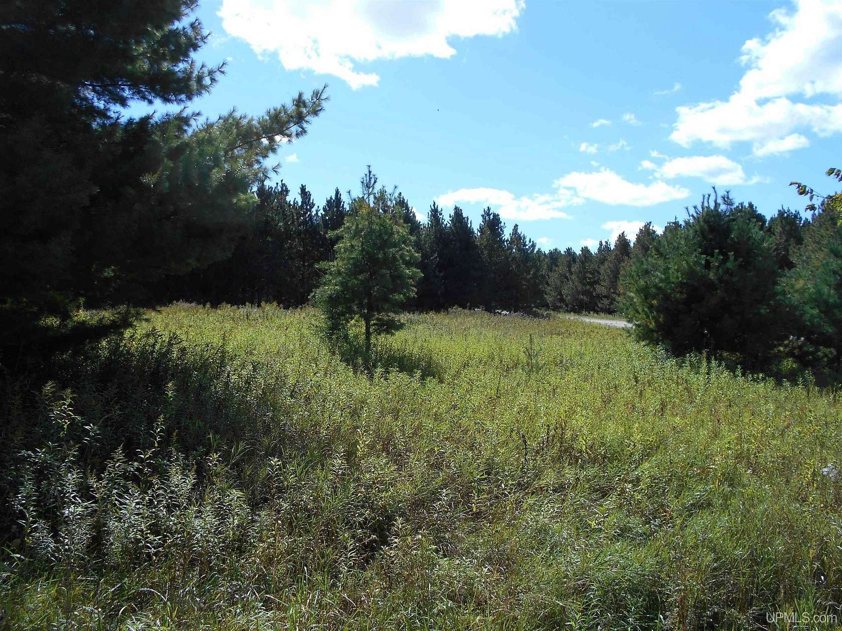 1 Acre of Land for Sale in Gulliver, Michigan