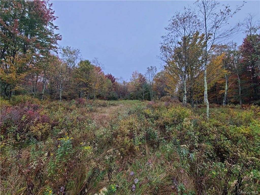 9.38 Acres of Residential Land for Sale in Claryville, New York