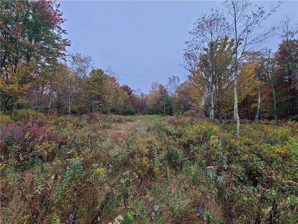 9.38 Acres of Residential Land for Sale in Denning, New York